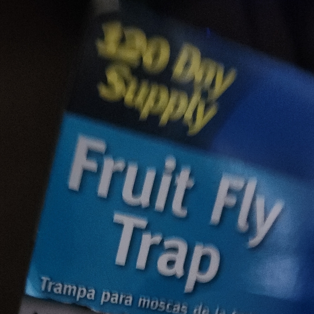 Raid Red Fruit Fly Trap - 2-Pack - Picture 3 of 3